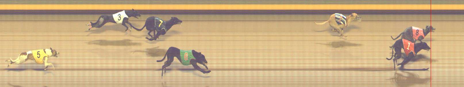 Photo finish for Shepparton Race 11