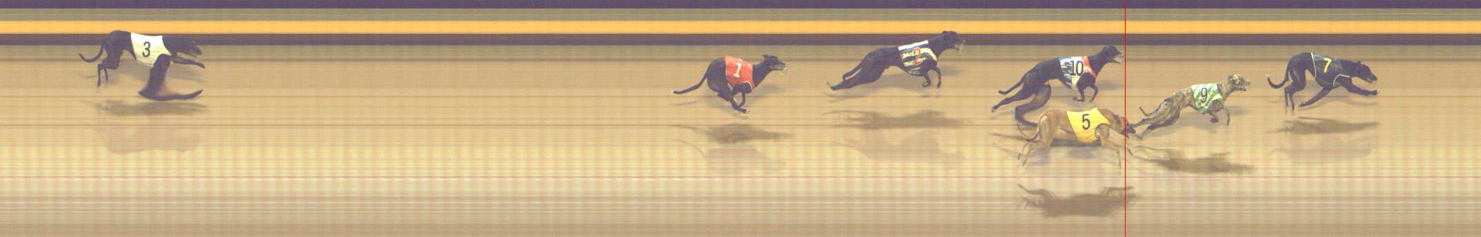 Photo finish for Shepparton Race 12