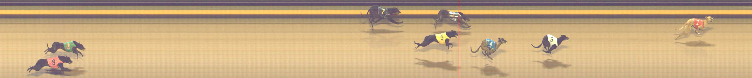 Photo finish for Shepparton Race 1