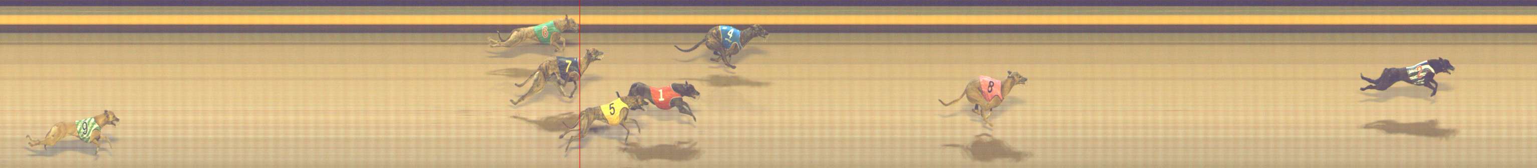 Photo finish for Shepparton Race 2