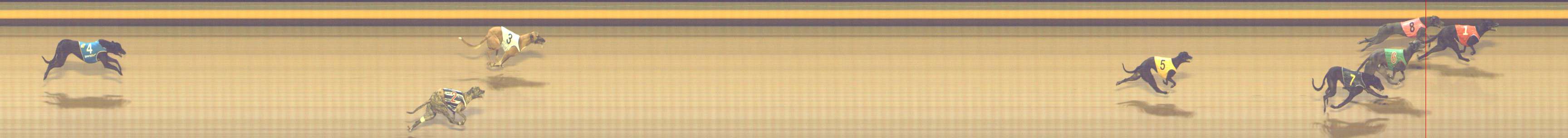 Photo finish for Shepparton Race 3