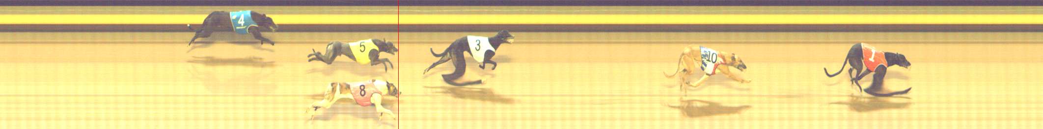 Photo finish for Shepparton Race 4