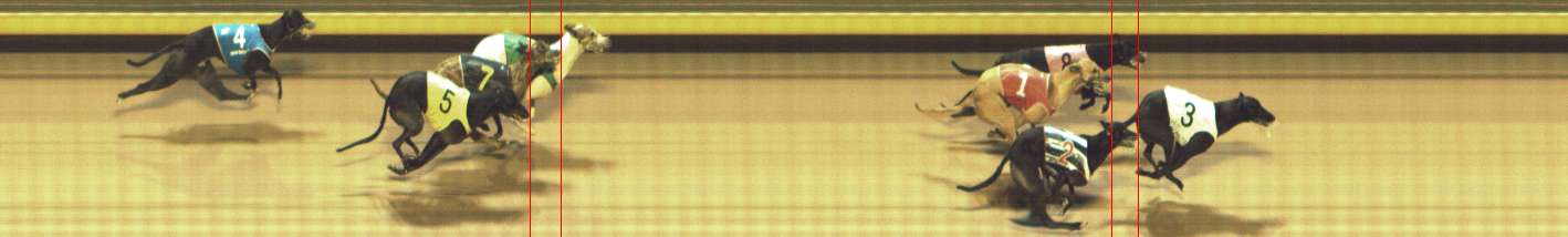 Photo finish for Shepparton Race 5