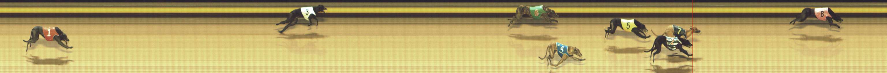 Photo finish for Shepparton Race 6