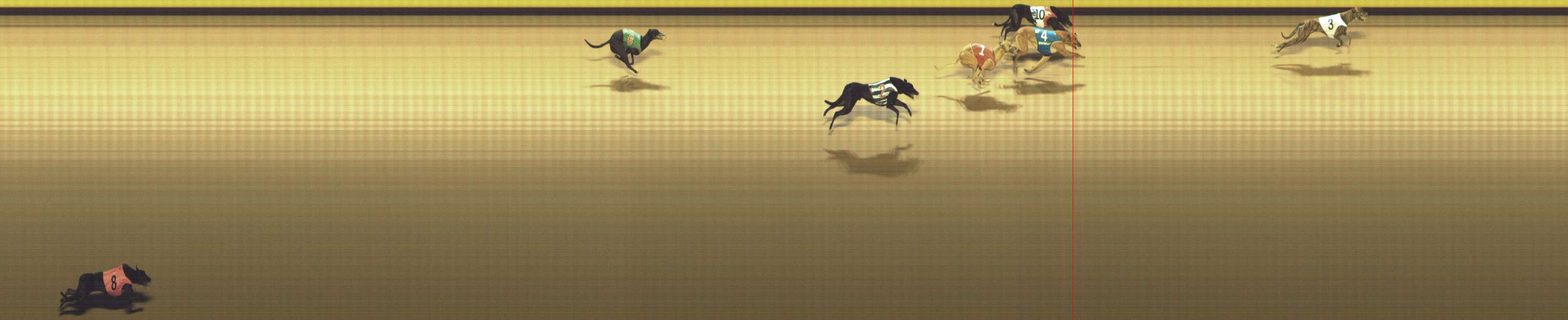 Photo finish for Shepparton Race 7