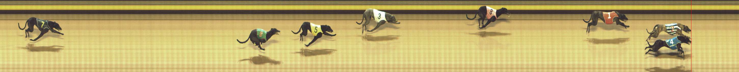 Photo finish for Shepparton Race 8