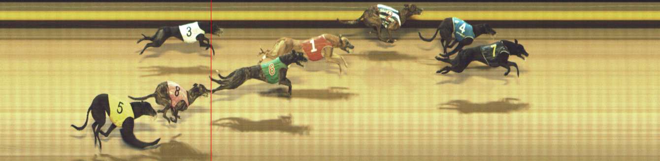 Photo finish for Shepparton Race 9