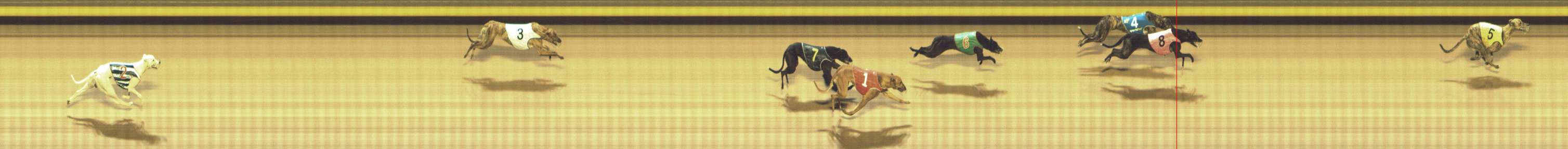 Photo finish for Shepparton Race 10