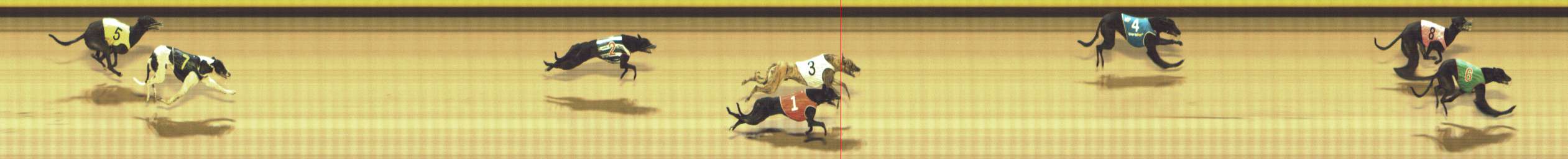 Photo finish for Shepparton Race 11