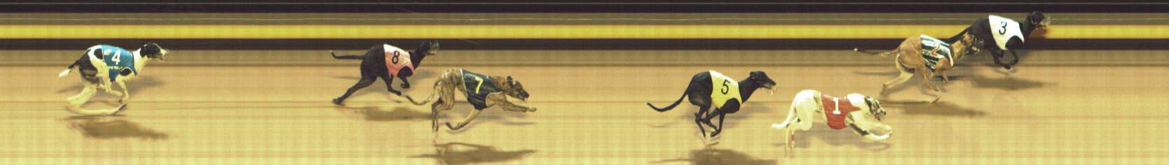 Photo finish for Shepparton Race 12