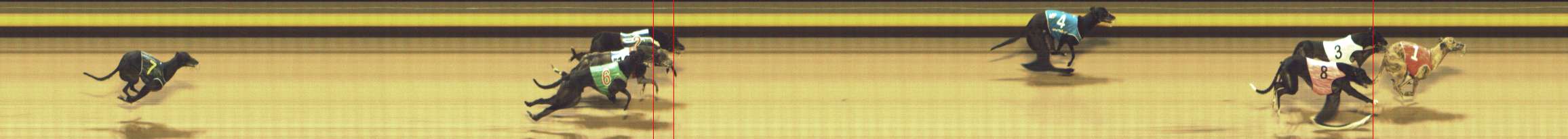 Photo finish for Shepparton Race 13