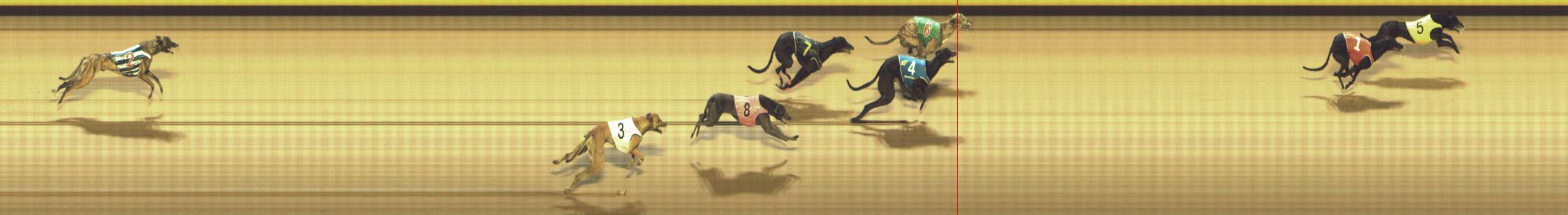 Photo finish for Shepparton Race 14