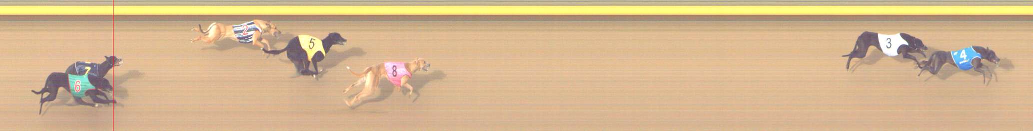 Photo finish for Shepparton Race 2