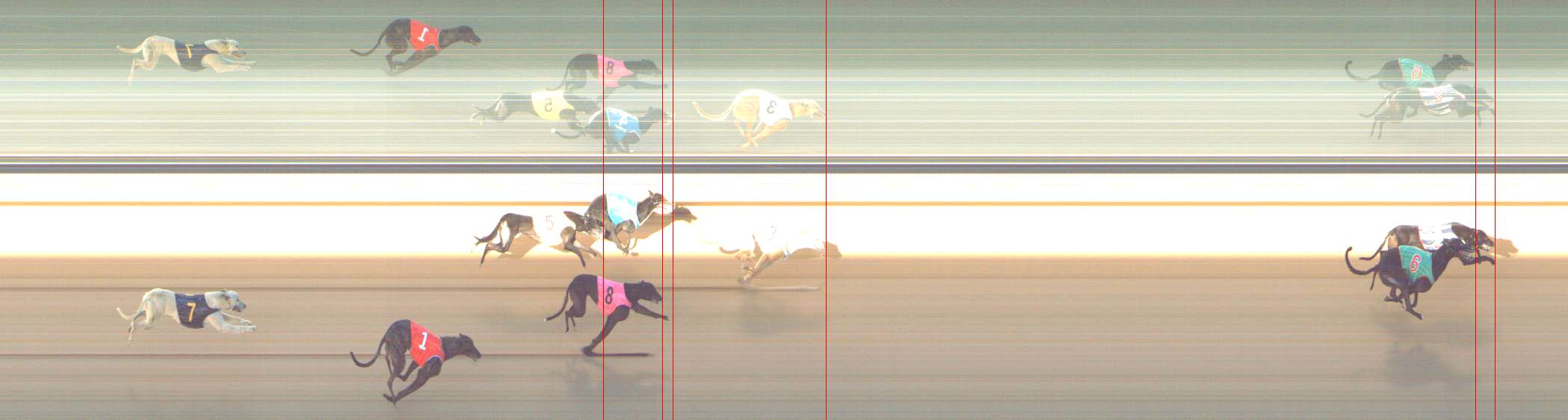 Photo finish for Shepparton Race 3