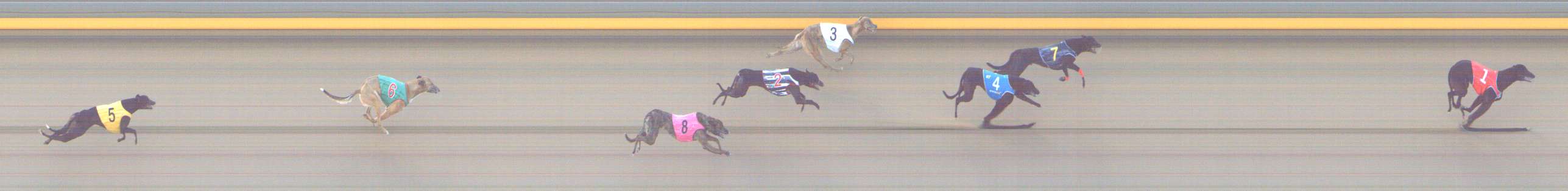 Photo finish for Shepparton Race 4