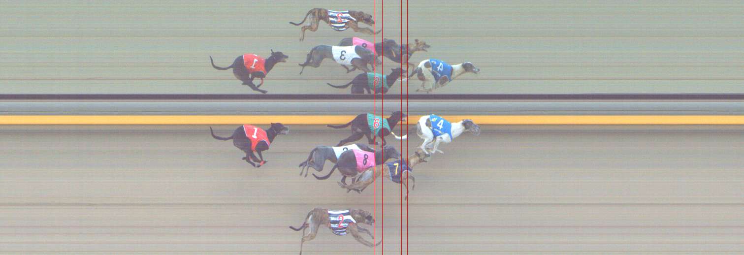 Photo finish for Shepparton Race 5