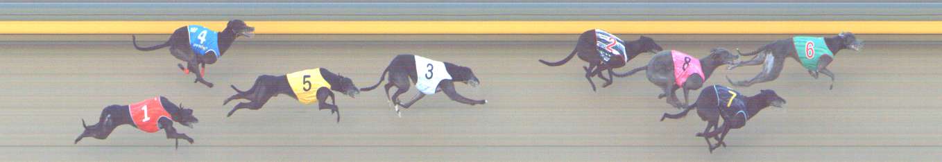 Photo finish for Shepparton Race 6