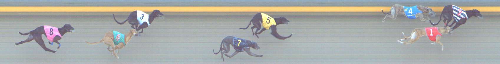 Photo finish for Shepparton Race 7