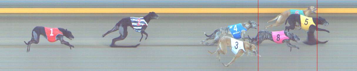 Photo finish for Shepparton Race 8