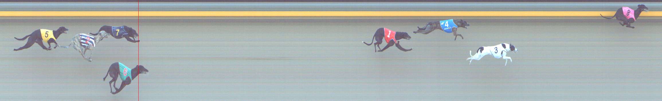 Photo finish for Shepparton Race 9
