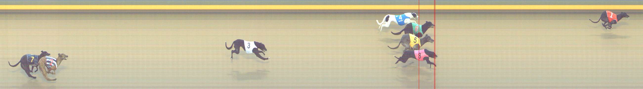 Photo finish for Shepparton Race 10