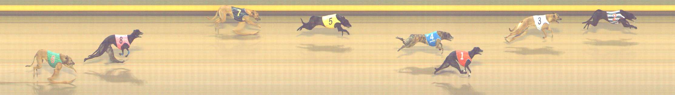 Photo finish for Shepparton Race 11