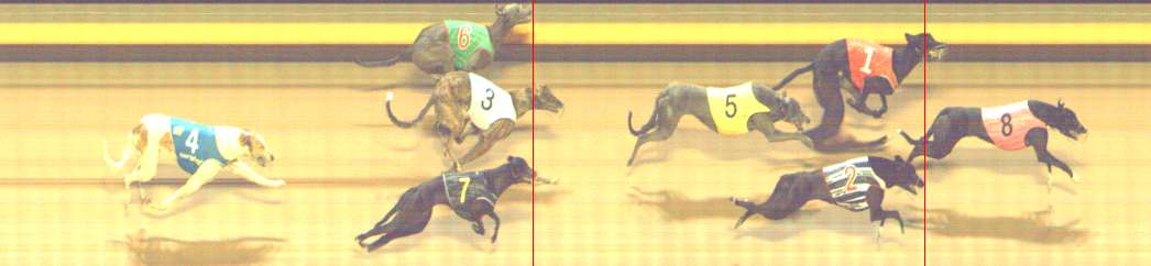 Photo finish for Shepparton Race 12