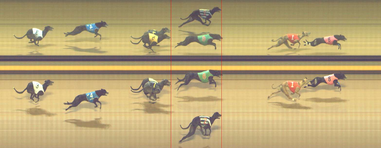 Photo finish for Shepparton Race 13