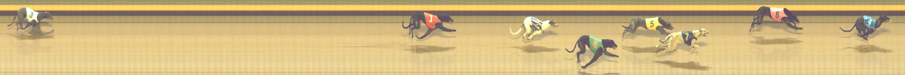 Photo finish for Shepparton Race 14