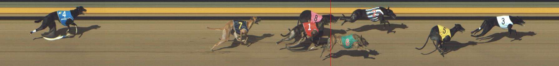 Photo finish for Shepparton Race 2