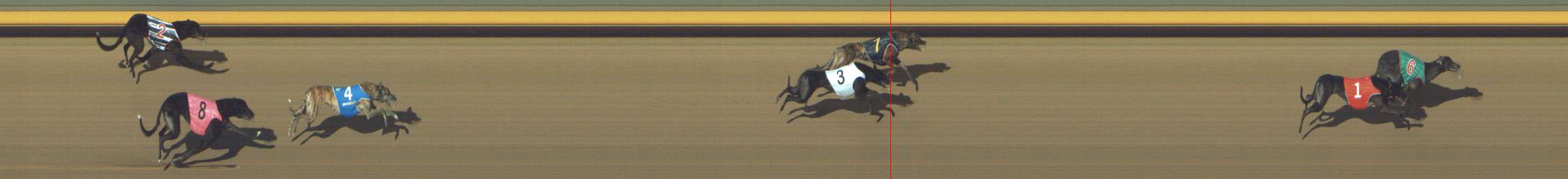 Photo finish for Shepparton Race 3