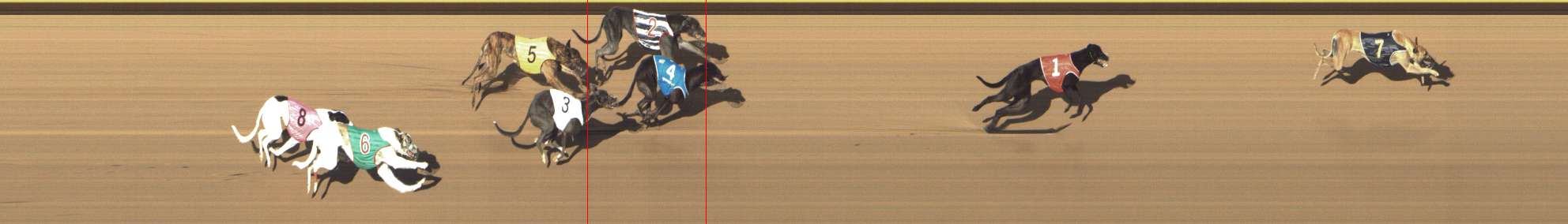Photo finish for Shepparton Race 4