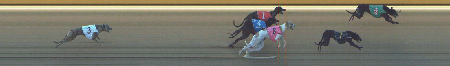 Photo finish for Shepparton Race 6
