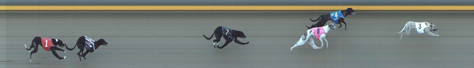 Photo finish for Shepparton Race 8