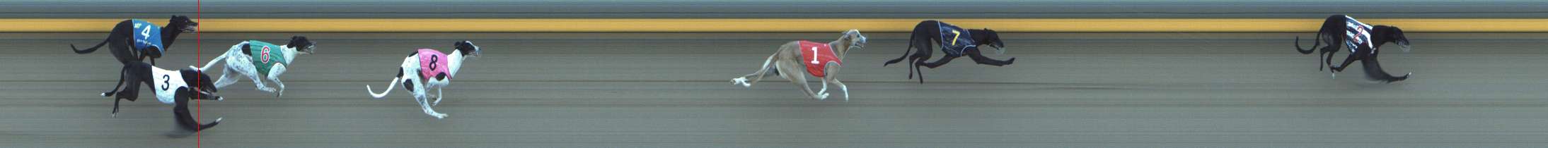 Photo finish for Shepparton Race 9