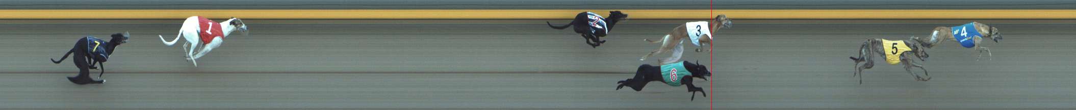 Photo finish for Shepparton Race 11