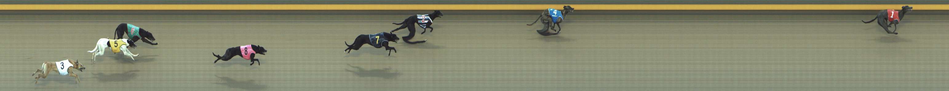 Photo finish for Shepparton Race 12