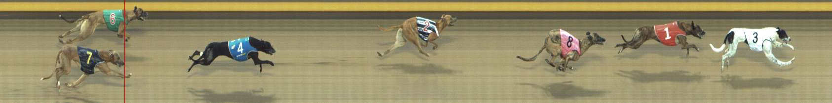 Photo finish for Shepparton Race 13
