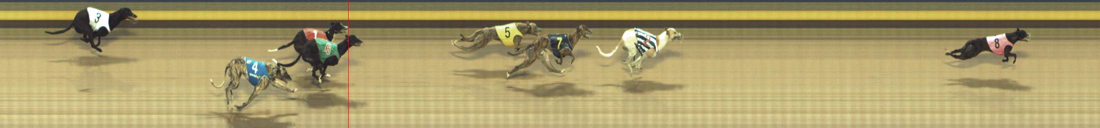 Photo finish for Shepparton Race 14