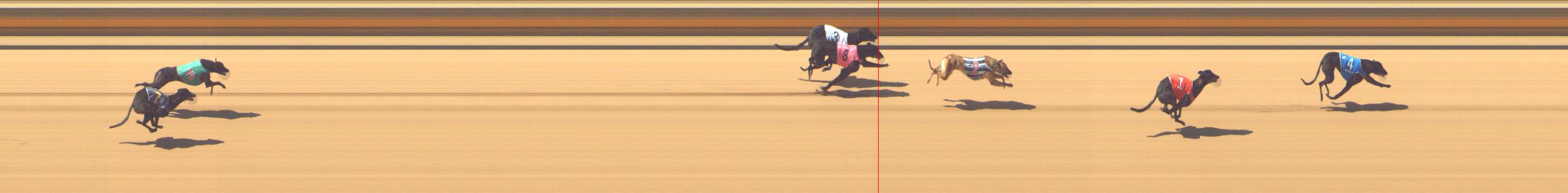 Photo finish for Shepparton Race 1