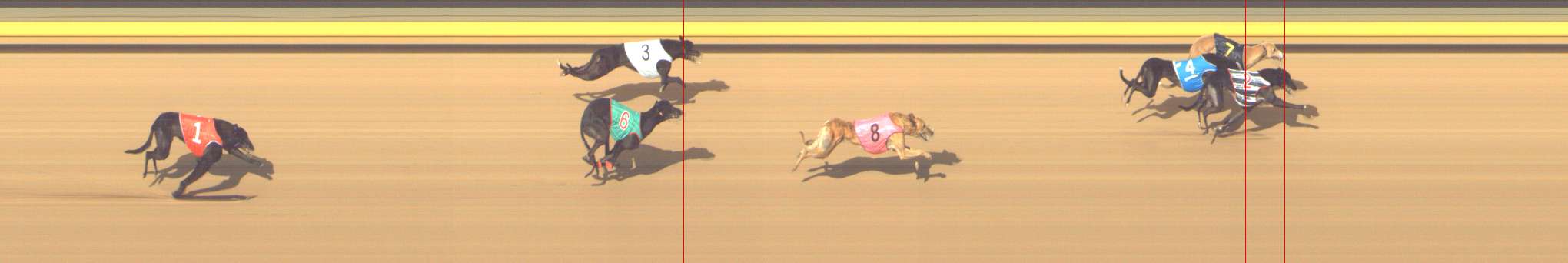 Photo finish for Shepparton Race 10