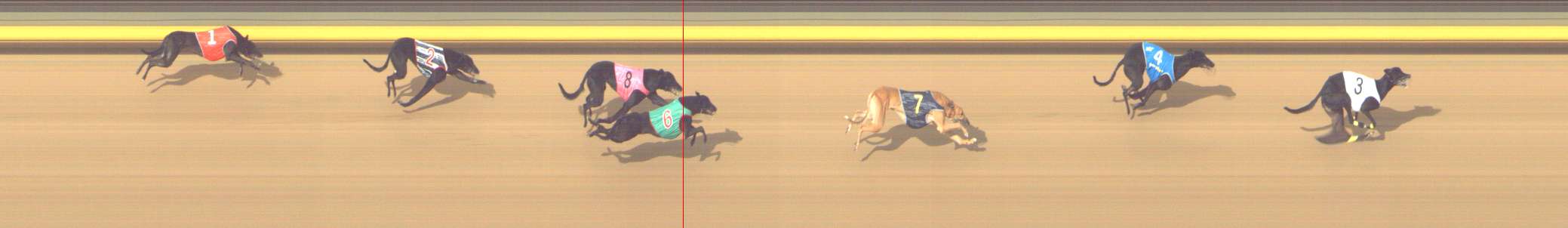 Photo finish for Shepparton Race 11