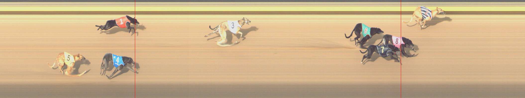 Photo finish for Shepparton Race 13