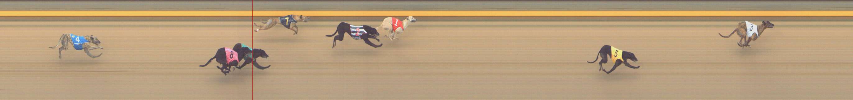 Photo finish for Shepparton Race 14