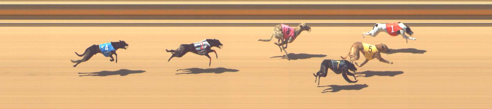 Photo finish for Shepparton Race 2