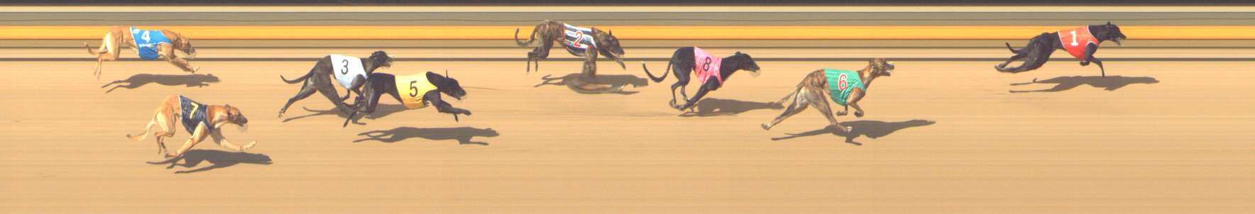 Photo finish for Shepparton Race 6