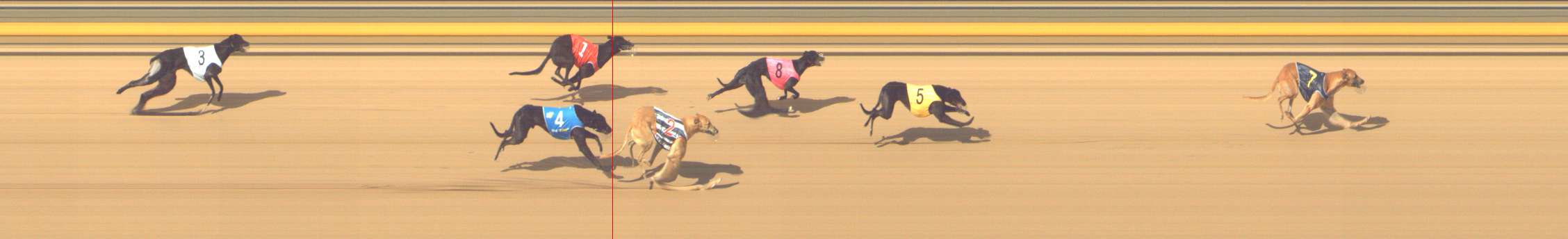Photo finish for Shepparton Race 7