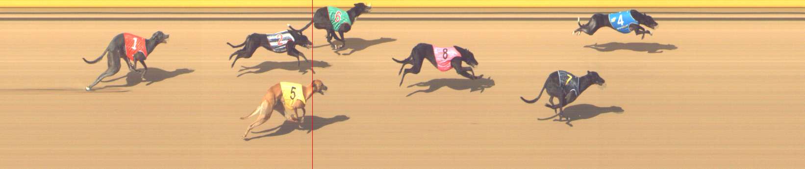 Photo finish for Shepparton Race 8