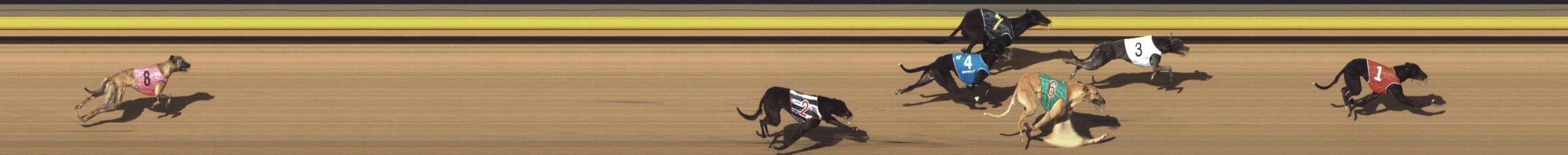Photo finish for Shepparton Race 1