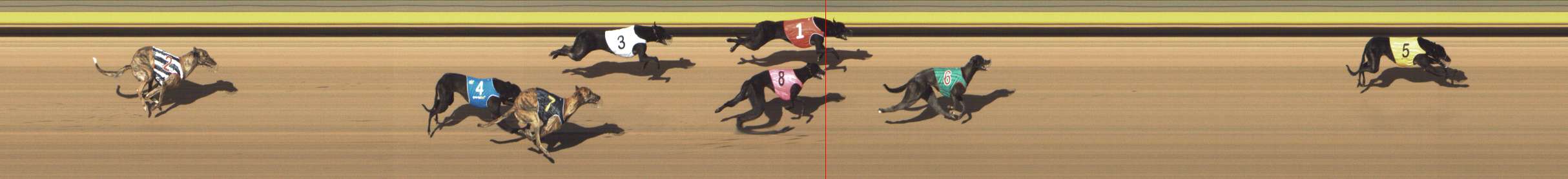 Photo finish for Shepparton Race 2